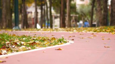 Renkli sonbahar yapraklarıyla kaplı güzel bir patika gezintileri davet eder..
