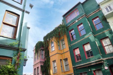 Canlı binalar, sarmaşıklarla süslenmiş dar bir sokak..