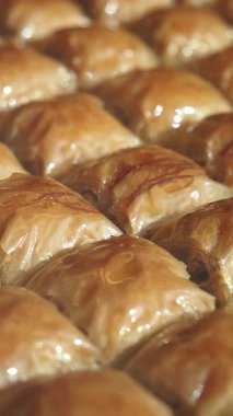 Tatlı şurupla serpiştirilmiş fındıklı sıcak baklava kareleri..