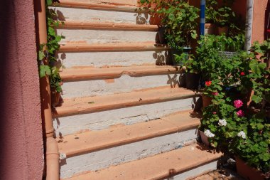 Renkli çiçekler ve bitkiler canlı bir bahçede güneşli bir merdiven çerçevesi oluşturuyor..