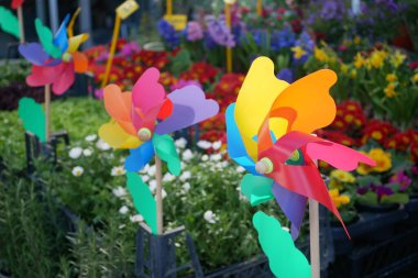 Baharda çiçek açan bir dizi çiçek arasında dönen parlak fırıldak..