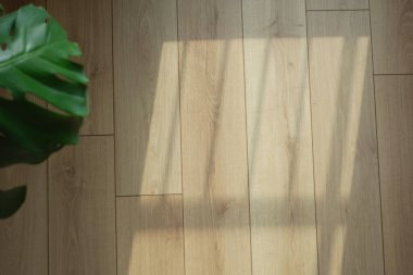 Güneş ışığı süzülür, yumuşak gölgeler bırakır açık ahşap zeminde.