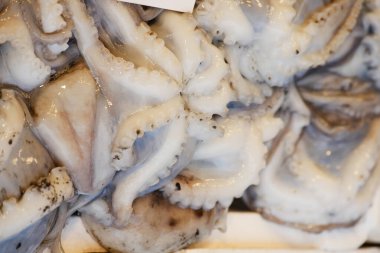 Balık pazarında ahtapot dokunaçlarının görüntüsü, taze deniz ürünlerini ön plana çıkarıyor..