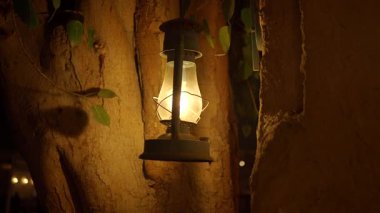 Ağaçtaki eski bir fenerin yumuşak ışığı sakin bir atmosfer yaratır..