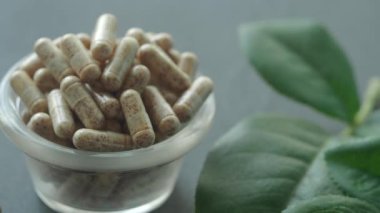 Bitkilerden yapılan çeşitli kapsüller yaprakların yanındaki cam kasede sergilenir..