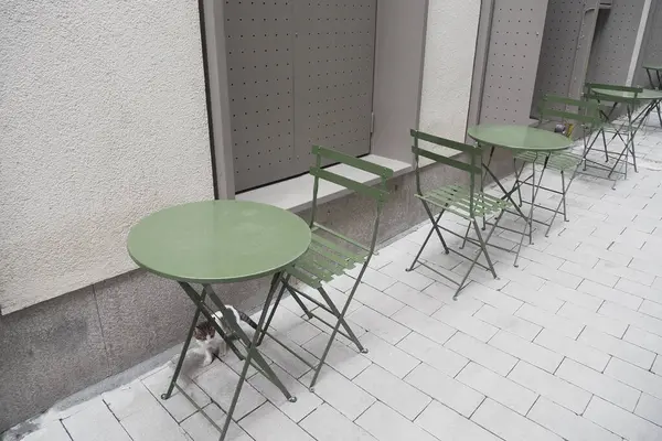 Boş yeşil masalar şehir kaldırımında gün ışığında düzgünce düzenlenir..