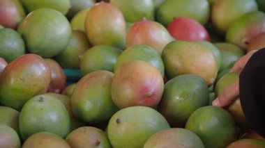 Hareketli bir pazar ortamında renkli mangolar satışa sunuluyor..