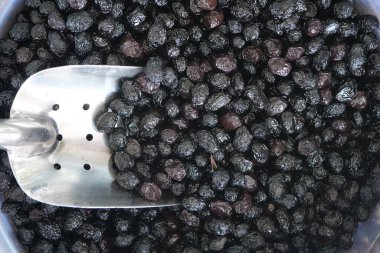 Kara zeytinler toplanır ve pazarda işlem için hazırlanır..