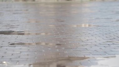 Yağmurdan sonra kaldırım taşı bir sokakta oluşan su birikintileri alacakaranlık renklerini yakalıyor..