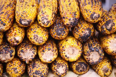 Kömürleşmiş benekli altın mısır koçanları düzenli olarak dizilmiştir..