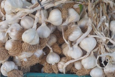 Pazar vitrininde taze toplanmış sarımsak soğanları duruyor..