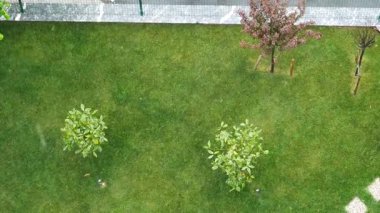 Sakin yeşil alan, iyi korunmuş çimenler ve canlı ağaçlar..