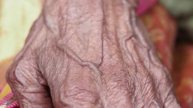 Damarları ve doku dokusunu gösteren yaşlı bir elin yakın çekimi.