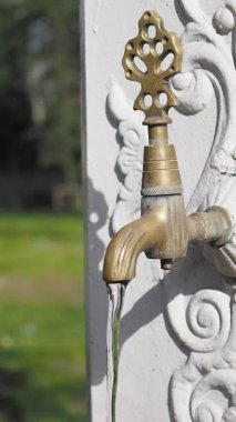 Güzel bir bahçedeki süslü bir musluktan akan su, doğayı gözler önüne seriyor..