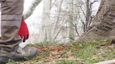İşçi, sabah bir ağacın yakınındaki yaprakları temizler..