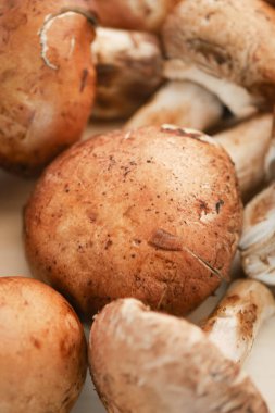 Çeşitli mantarlar düzenli bir şekilde tezgahın üstünde sergilenir..