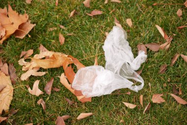 Çöpe atılmış plastik bir torba çimenlerin üzerinde yatıyor. Düşen yapraklarla çevrili..