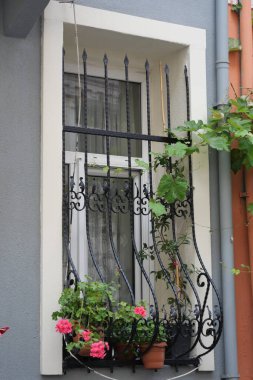 Karmaşık demir çubuklarla süslenmiş bir pencere renkli saksı çiçekleri sergiler.