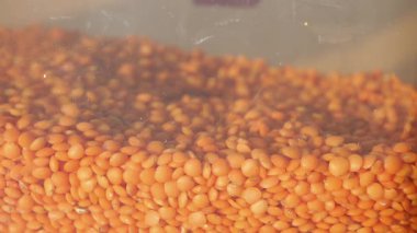 Bir konteynırdan kırmızı mercimek al. ,