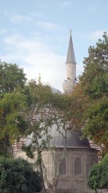 Cami, açık mavi gökyüzünün altındaki yeşil ağaçların arasında gururla duruyor..