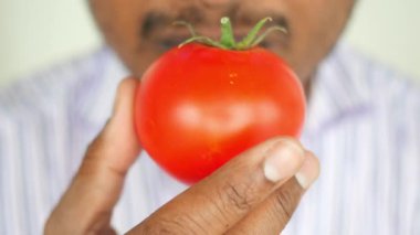 Bir insan taze, canlı kırmızı domatesi kalite için inceler..