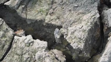 Çatlak toprağın yakından incelenmesi doğadaki kuraklık etkilerini vurguluyor.