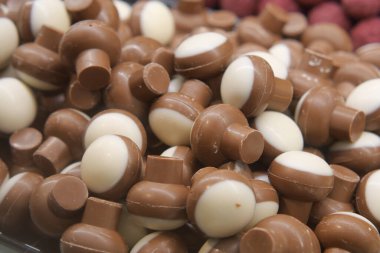 Mantara benzeyen renkli çikolata şekerleri vitrini doldurur..