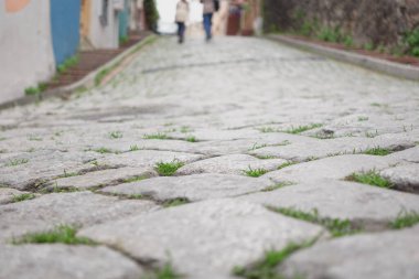 Çimlerle kaplı bir kaldırım taşı caddesi, uzak figürlere yol gösteriyor..