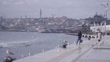 Ziyaretçiler, üzerinde martıların süzüldüğü İstanbullar 'ın rıhtımında geziniyor..