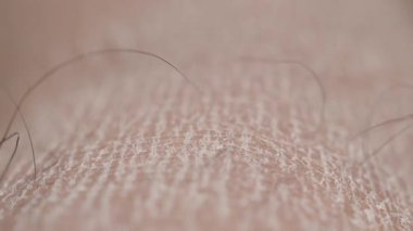 Bu, deri dokusunun ve ince saçların karmaşık detaylarını yakalar..