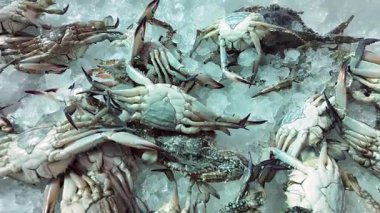 Taze yengeçler, yoğun bir deniz ürünleri pazarında buzun üzerinde düzgünce düzenlenir..