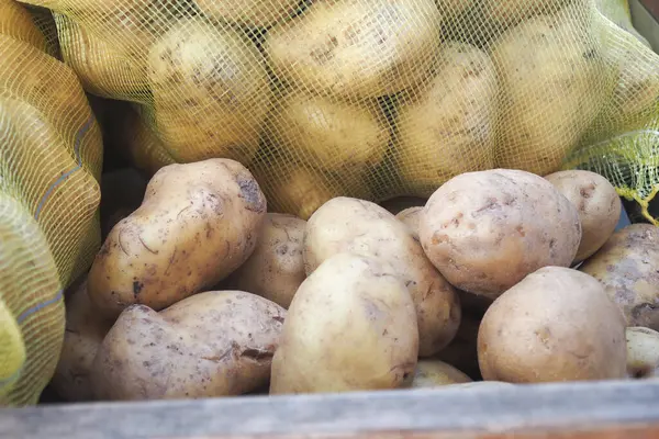 Markette sarı bir çantada sergilenen taze biçilmiş patatesler..