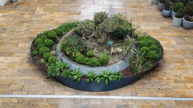 Halka açık bir alanda çeşitli bitkilerle iyi korunan bir bahçe..