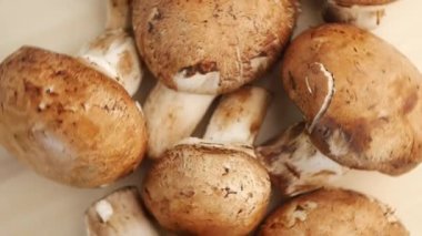 Ormandan taze mantarlar topladım, aşçılık için hazır..