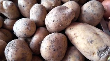 Doğal dokuları olan taze, yerel kaynaklı patatesleri keşfedin..