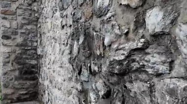 Güzel işçiliğin altını çizen tarihi bir taş duvarı keşfedin..