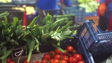 Canlı renkler ve taze sebzeler pazarda sergileniyor..