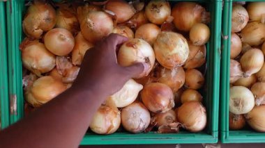 Marketten taze soğan topluyorum..