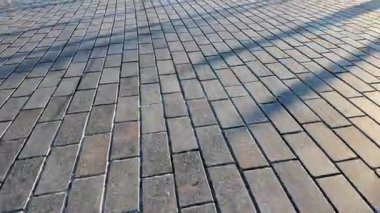 Huzurlu bir kaldırım keşfedin Karmaşık desenler ve gölgeler yakalayın.