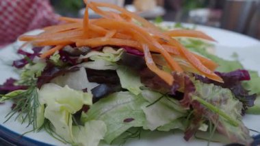 Yeşiller ve taze havuçlarla dolu canlı bir tabak salatanın tadını çıkarın..