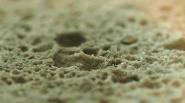 Ekmek yüzeyinde sıcak koşullar altında küfün nasıl geliştiğine bakın..