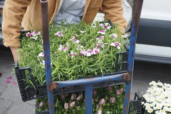 Bir insan, yoğun bir bahar pazarında bir arabaya çiçek yükler..