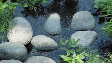 Bereketli yeşilliklerin arasında pürüzsüz taşların bulunduğu sakin bir su bahçesini keşfedin..
