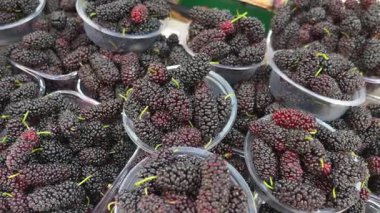 Yerel satıcılar kalabalık bir pazarda bol miktarda dut sergiliyor..