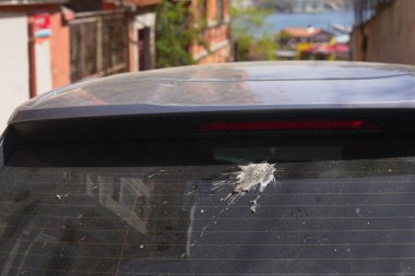 Arka camında kuş pisliği olan bir arabanın yakın görüntüsü..