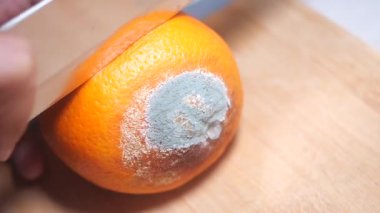 Bir portakalı dilimlemek içinde şaşırtıcı bir küf lekesi ortaya çıkarır..