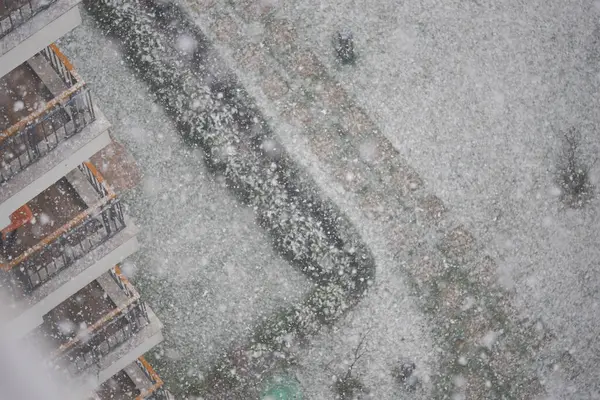 Şiddetli kar örtüleri, binalar ve bahçeler..