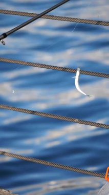 Sakin mavi suların yakınındaki bir ipte asılı bir olta kancası.