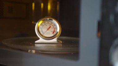 Sıcaklık değişimlerini takip etmek için bir termometre mikrodalganın içine yerleştirilir..