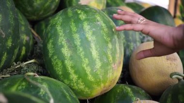 Bir el markette olgunlaşmış bir karpuza nazikçe dokunur..